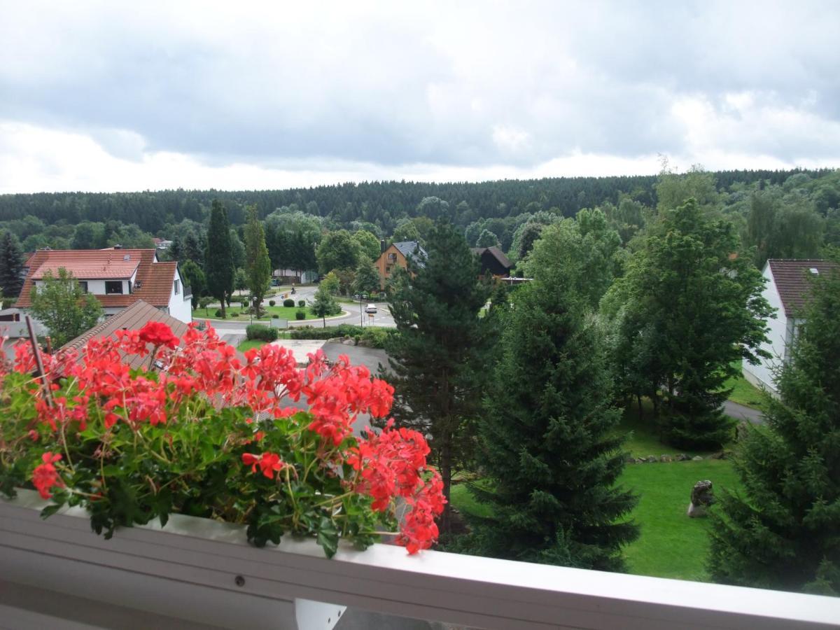 Ferienhaus Hubertus In Elend Mit Balkons Экстерьер фото