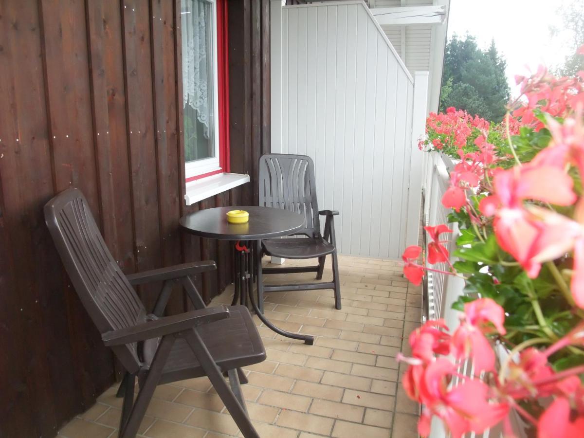 Ferienhaus Hubertus In Elend Mit Balkons Экстерьер фото